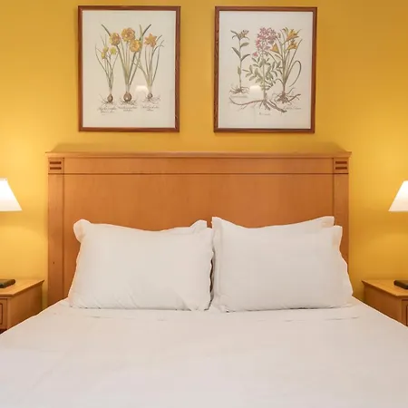 بيت للعطل Casa Do Ribeiro Salgado By An Island بورتو سانتو