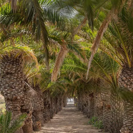 Vakantiehuis Casa Do Ribeiro Salgado By An Island *