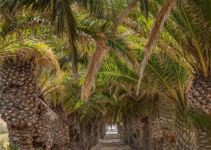 Casa vacanze Casa Do Ribeiro Salgado By An Island *